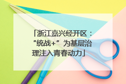 浙江嘉兴经开区：“统战+”为基层治理注入青春动力