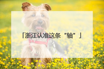 浙江认准这条“轴”