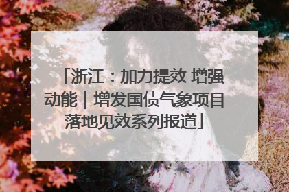浙江：加力提效 增强动能｜增发国债气象项目落地见效系列报道