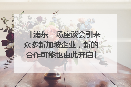 浦东一场座谈会引来众多新加坡企业，新的合作可能也由此开启