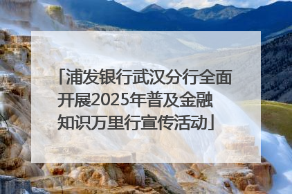浦发银行武汉分行全面开展2025年普及金融知识万里行宣传活动