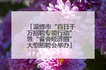 淄博市“百日千万招聘专项行动”暨“省会经济圈”大型招聘会举办