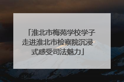 淮北市梅苑学校学子走进淮北市检察院沉浸式感受司法魅力