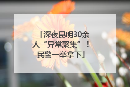 深夜昆明30余人“异常聚集”！民警一举拿下