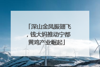 深山金凤振翅飞，钱大妈推动宁都黄鸡产业崛起