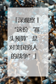 深观察丨“这份‘寡头预算’是对美国穷人的战争”