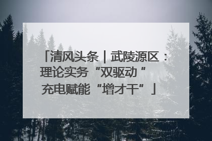 清风头条｜武陵源区：理论实务“双驱动 ” 充电赋能“增才干”