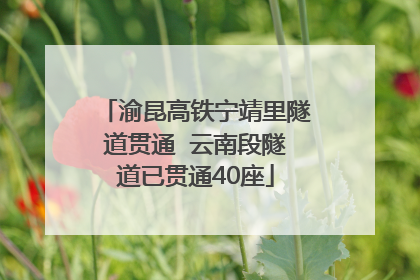 渝昆高铁宁靖里隧道贯通  云南段隧道已贯通40座