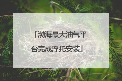 渤海最大油气平台完成浮托安装