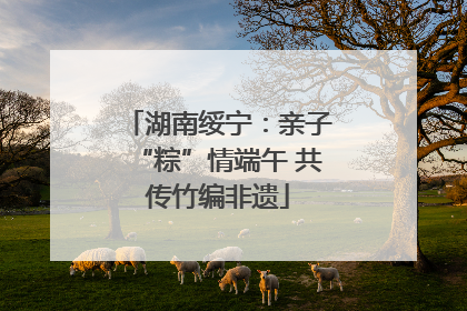 湖南绥宁：亲子“粽”情端午 共传竹编非遗