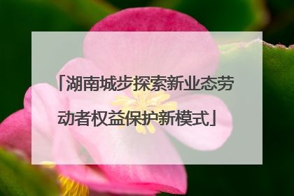 湖南城步探索新业态劳动者权益保护新模式
