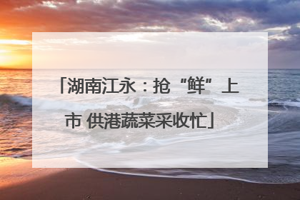 湖南江永：抢“鲜”上市 供港蔬菜采收忙