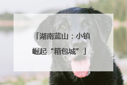 湖南蓝山：小镇崛起“箱包城”