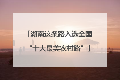 湖南这条路入选全国“十大最美农村路”