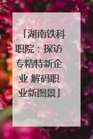 湖南铁科职院：探访专精特新企业 解码职业新图景