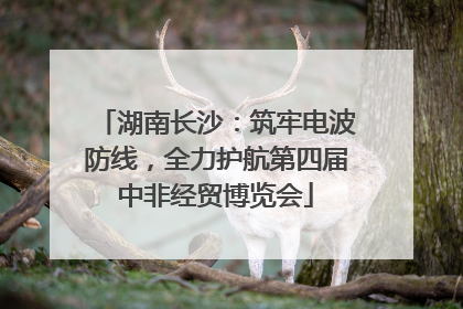 湖南长沙：筑牢电波防线，全力护航第四届中非经贸博览会