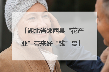 湖北省郧西县“花产业”带来好“钱”景