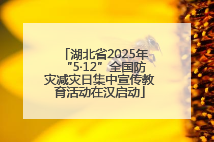 湖北省2025年“5·12”全国防灾减灾日集中宣传教育活动在汉启动