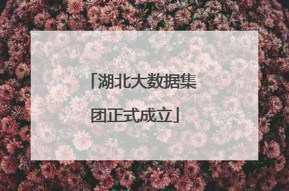 湖北大数据集团正式成立