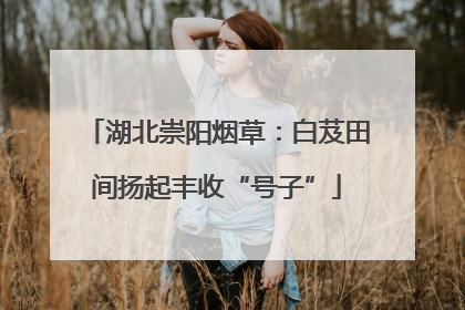 湖北崇阳烟草：白芨田间扬起丰收“号子”