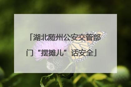 湖北随州公安交管部门“摆摊儿”话安全