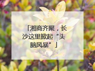 湘商齐聚，长沙这里掀起“头脑风暴”