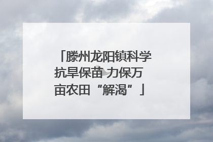 滕州龙阳镇科学抗旱保苗 力保万亩农田“解渴”