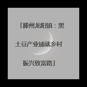 滕州龙阳镇：黑土豆产业铺就乡村振兴致富路