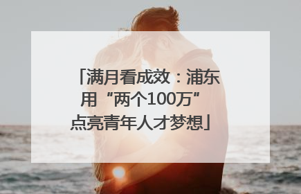 满月看成效：浦东用“两个100万”点亮青年人才梦想