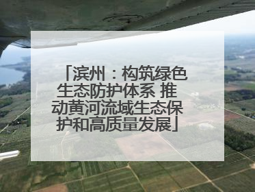 滨州：构筑绿色生态防护体系 推动黄河流域生态保护和高质量发展