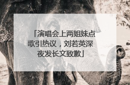 演唱会上两姐妹点歌引热议，刘若英深夜发长文致歉