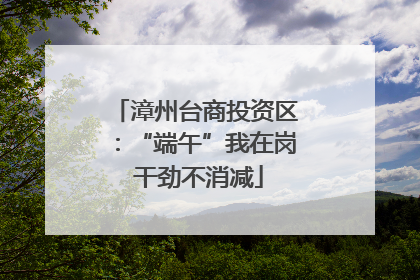 漳州台商投资区：“端午”我在岗 干劲不消减