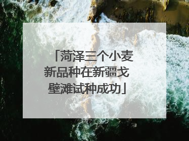 菏泽三个小麦新品种在新疆戈壁滩试种成功