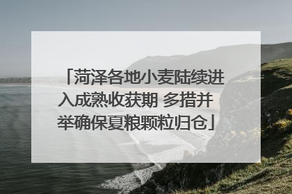 菏泽各地小麦陆续进入成熟收获期 多措并举确保夏粮颗粒归仓