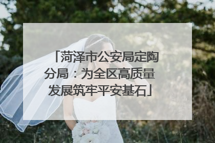 菏泽市公安局定陶分局：为全区高质量发展筑牢平安基石