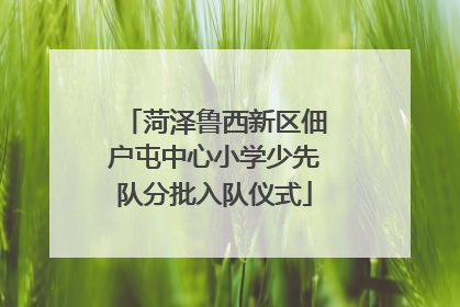 菏泽鲁西新区佃户屯中心小学少先队分批入队仪式