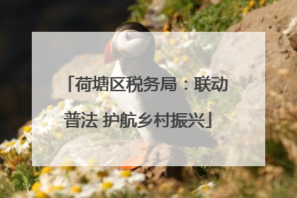 荷塘区税务局：联动普法 护航乡村振兴