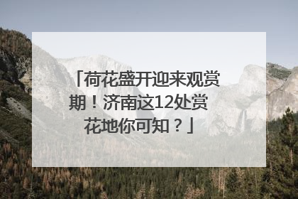 荷花盛开迎来观赏期！济南这12处赏花地你可知？