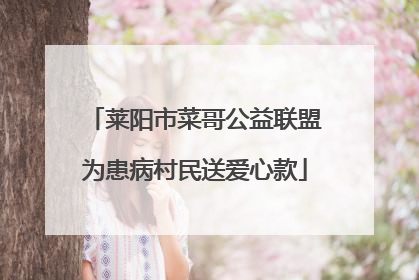 莱阳市菜哥公益联盟为患病村民送爱心款