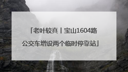 老叶较真丨宝山1604路公交车增设两个临时停靠站