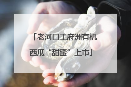 老河口王府洲有机西瓜“甜蜜”上市