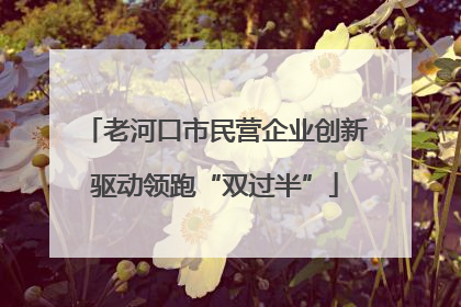 老河口市民营企业创新驱动领跑“双过半”