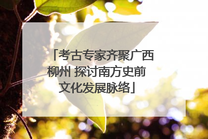 考古专家齐聚广西柳州 探讨南方史前文化发展脉络