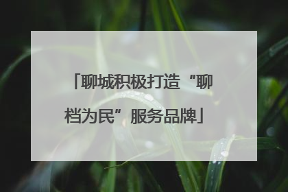 聊城积极打造“聊档为民”服务品牌