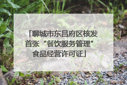 聊城市东昌府区核发首张“餐饮服务管理”食品经营许可证