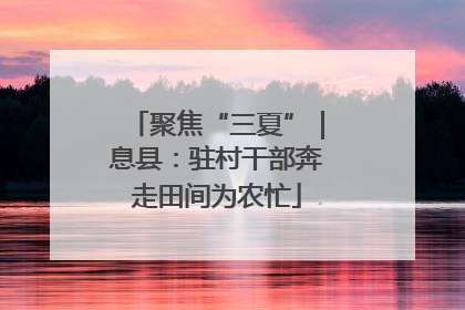 聚焦“三夏”｜息县：驻村干部奔走田间为农忙