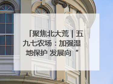 聚焦北大荒｜五九七农场：加强湿地保护 发展向“绿”而行