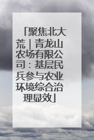 聚焦北大荒｜青龙山农场有限公司：基层民兵参与农业环境综合治理显效