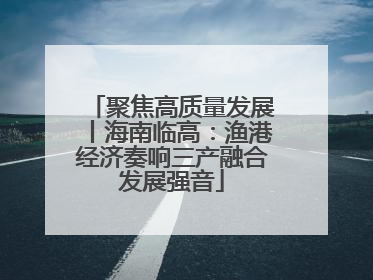 聚焦高质量发展丨海南临高：渔港经济奏响三产融合发展强音