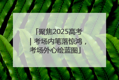 聚焦2025高考｜考场内笔落惊鸿，考场外心绘蓝图
